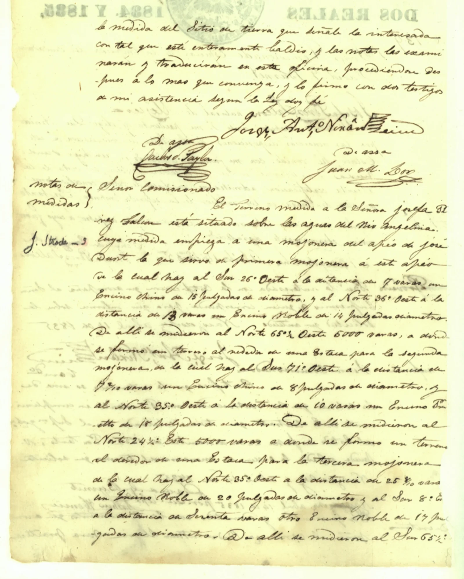 Falcón, Josefa Pérez Original Cursive Land Grant & Field Notes (Rusk County, Abstract A-10)